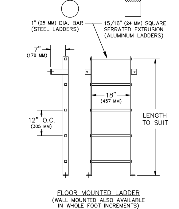 Floor Mounted Ladder